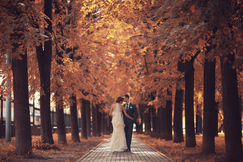 A groom and bride kissing in a fall setting with trees for the bella mansions blog about wedding color palettesA groom and bride kissing in a fall setting with trees for the bella mansions blog about wedding color palettes