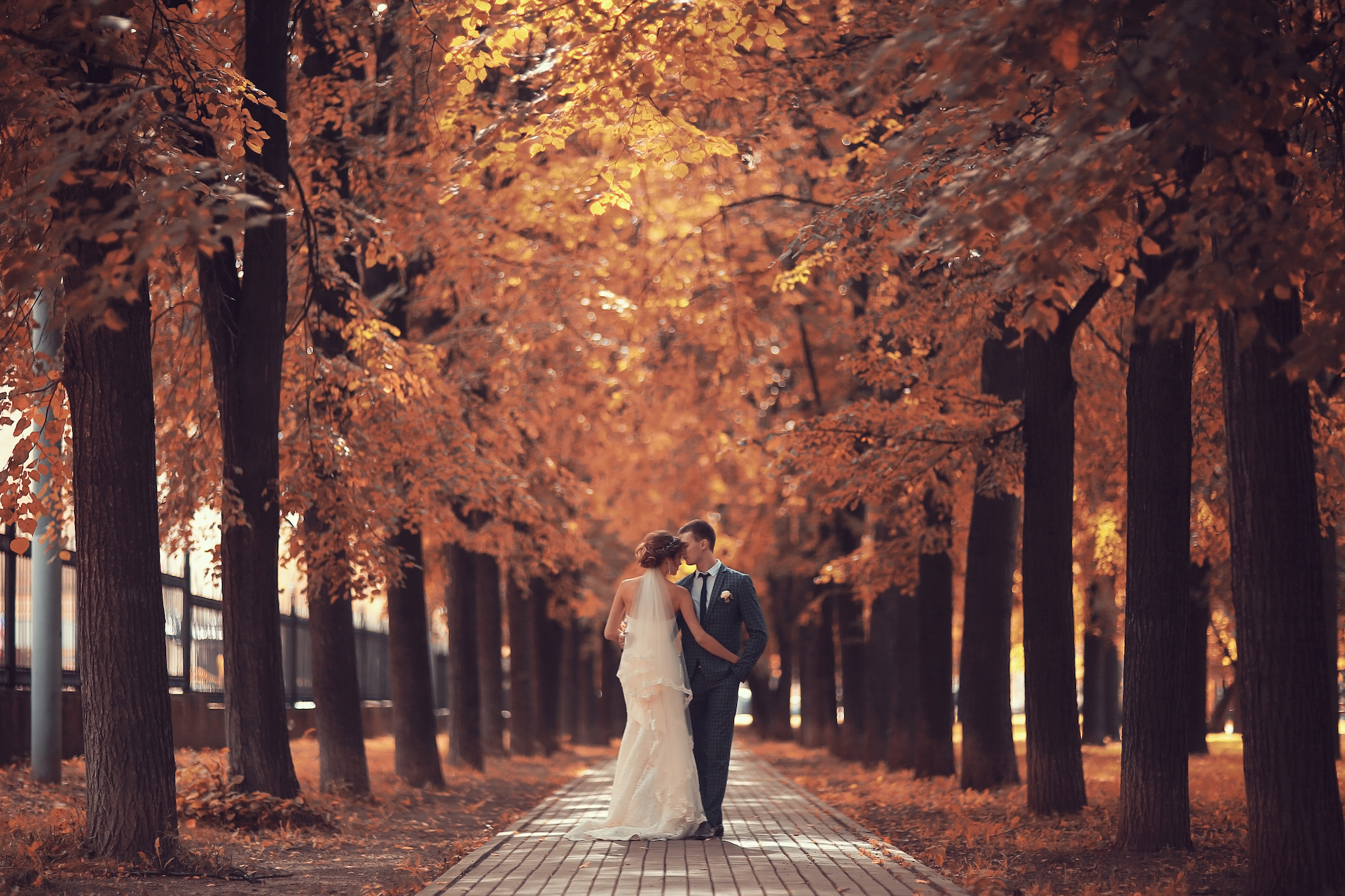 Top 5 Trending Fall Wedding Color Palettes of 2022 - Bella Mansions